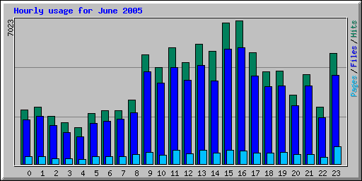 Hourly usage for June 2005